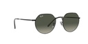 RAY-BAN 0RB3565