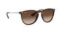 RAY-BAN 0RB4171