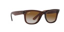 RAY-BAN 0RBR0502S