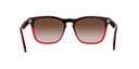 RAY BAN 0RB4487