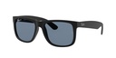 RAY BAN 0RB4165