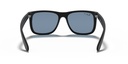 RAY BAN 0RB4165