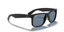 RAY BAN 0RB4165