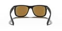 RAY BAN 0RB4165