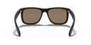 RAY BAN 0RB4165