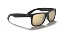 RAY BAN 0RB4165