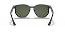 RAY BAN 0RB4306