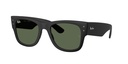 RAY BAN 0RB4840