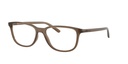 ARNETTE 0AN7281