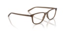 ARNETTE 0AN7281