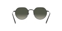 RAY BAN 0RB3565