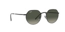 RAY BAN 0RB3565