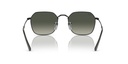 RAY BAN 0RB3694