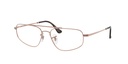 RAY BAN 0RX6550