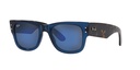 RAY-BAN 0RB0840S