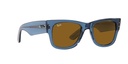 RAY-BAN 0RB0840S