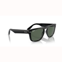 RAY-BAN 0RB4407