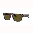 RAY-BAN 0RB4407