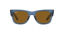 RAY-BAN 0RB0840S