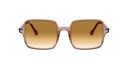 RAY BAN 0RB1973