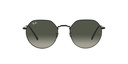 RAY-BAN 0RB3565