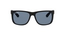 RAY BAN 0RB4165