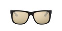 RAY BAN 0RB4165